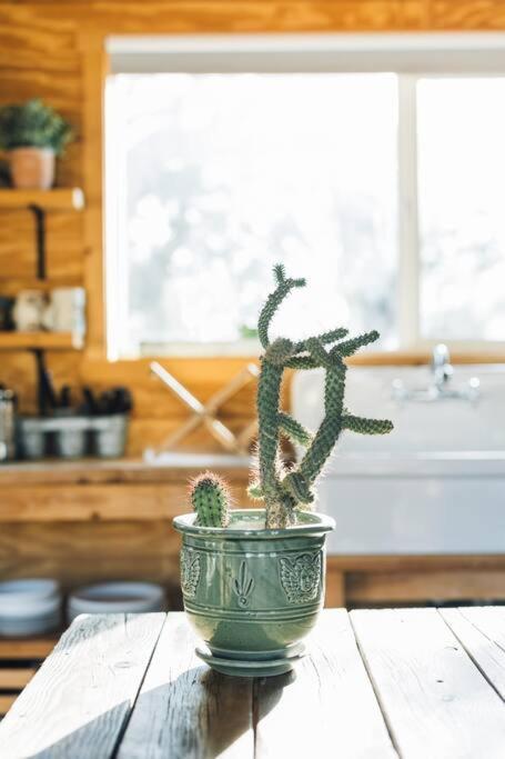 Joshua Tree Hidden Tower * Views - Landmark Yucca Valley Exterior photo